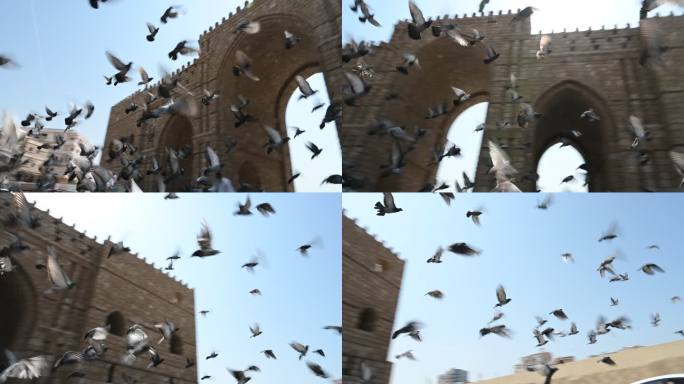 一群鸽子飞越吉达巴卜麦加