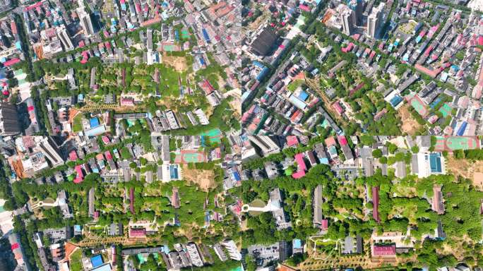 4K航拍衡东县委县政府绿色老式办公楼6