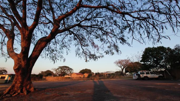 赞比亚农村茅草屋延时日落黄昏大树延时