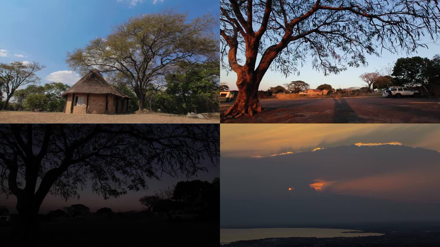 赞比亚农村茅草屋延时日落黄昏大树延时