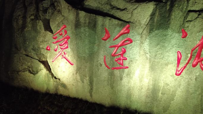 郴州爱莲湖石刻名称灯光夜景