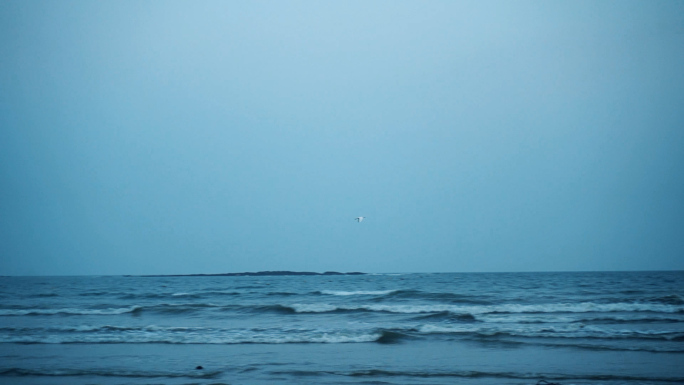 阴天大海飞鸟海上明月晚上海边沙滩伤感大海