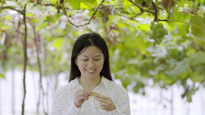 年轻女子从水果大棚摘阳光玫瑰葡萄吃