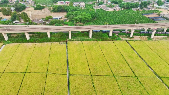 航拍眉山永丰村丰收火车高铁会车