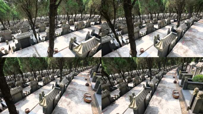 公墓园