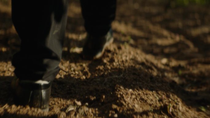 葡萄基地 脚步特写 行走 穿皮鞋的脚 走