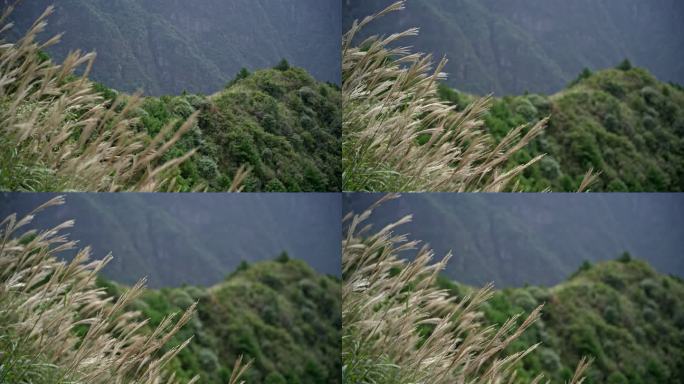 江西萍乡武功山日出日落草甸云海情绪空境