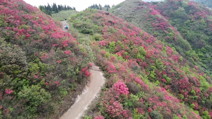 湖南衡阳常宁天堂山航拍