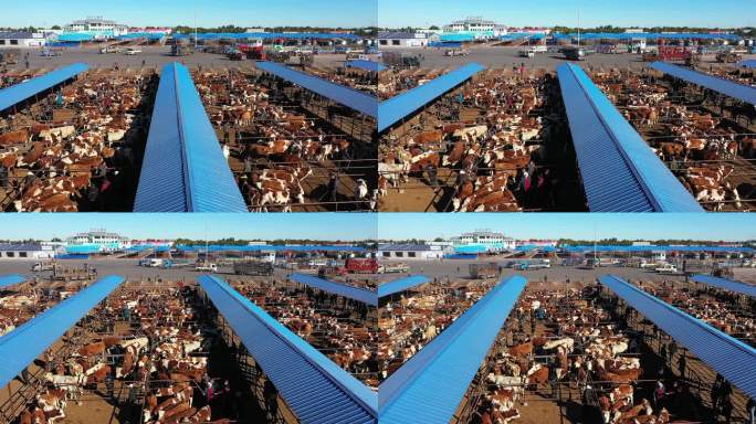 开鲁牛市牛产业航拍视频