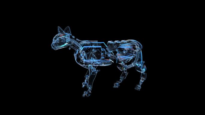 科技全息智能机械猫透明通道素材