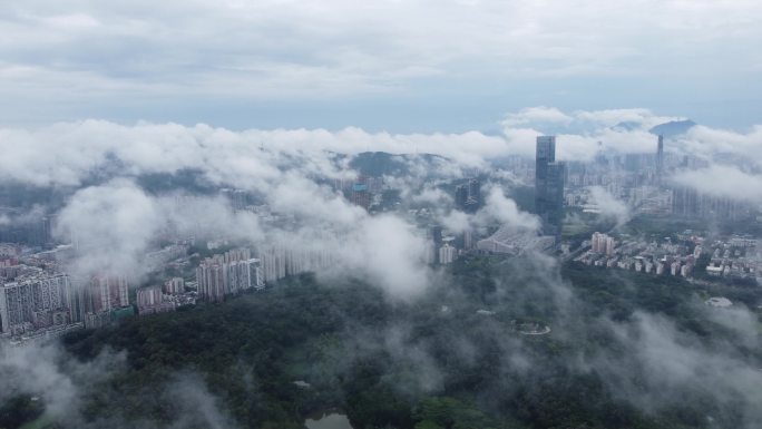 深圳福田区地平线有平流雾。