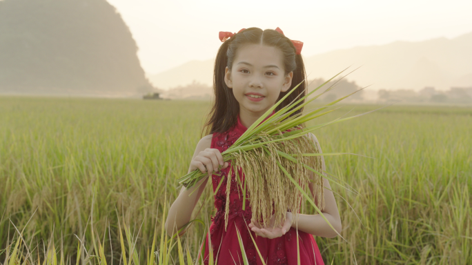 手里拿着稻穗水稻的小女孩1