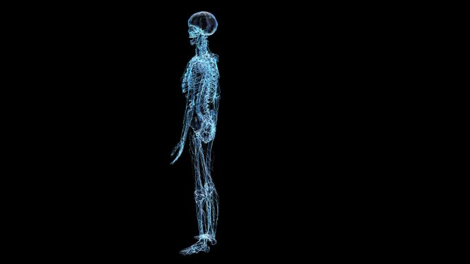 科技全息人体骨骼透明通道素材