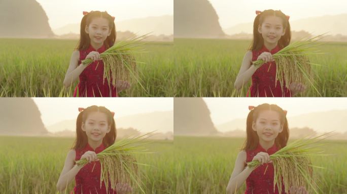 手里拿着稻穗水稻的小女孩2