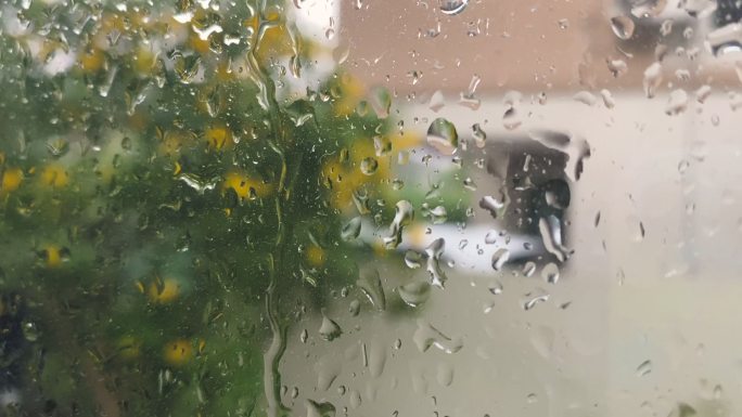 大雨，暴雨，树木摇晃。