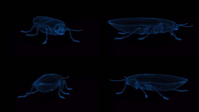 4k蓝色全息科技线框昆虫素材带通道
