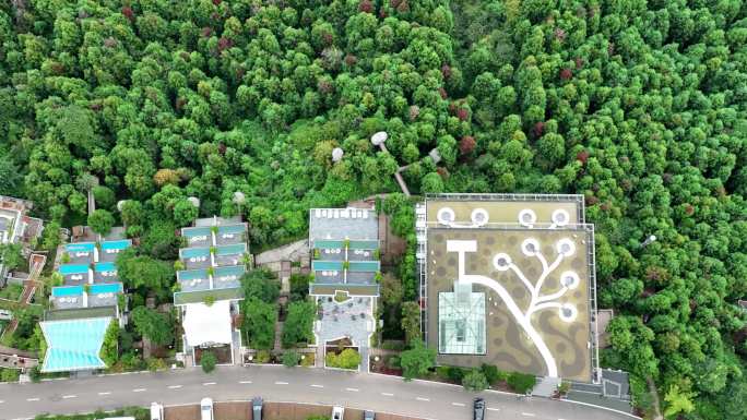 四川省眉山市洪雅县云中花岭航拍素材视频