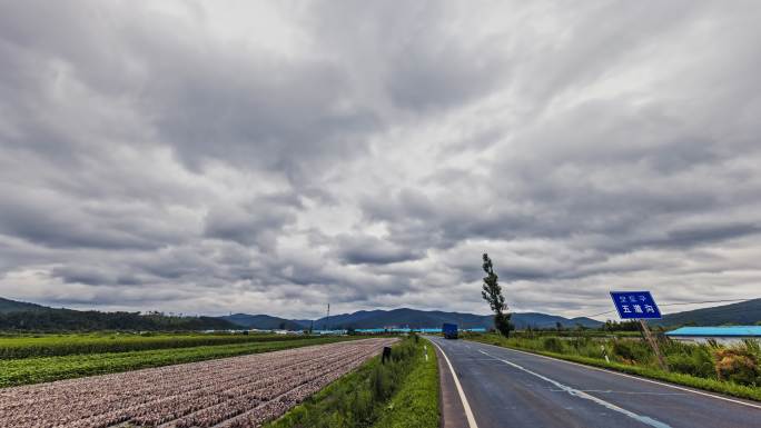 食用菌种植 大地 公路