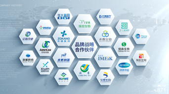 企业合作伙伴品牌logo墙汇聚展示ae模板