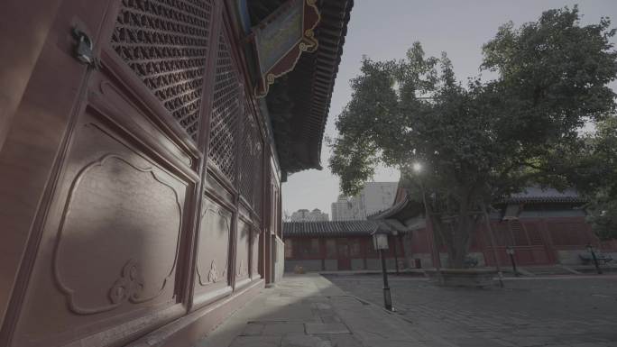 智化寺 寺庙 大殿 石碑 树荫 天空