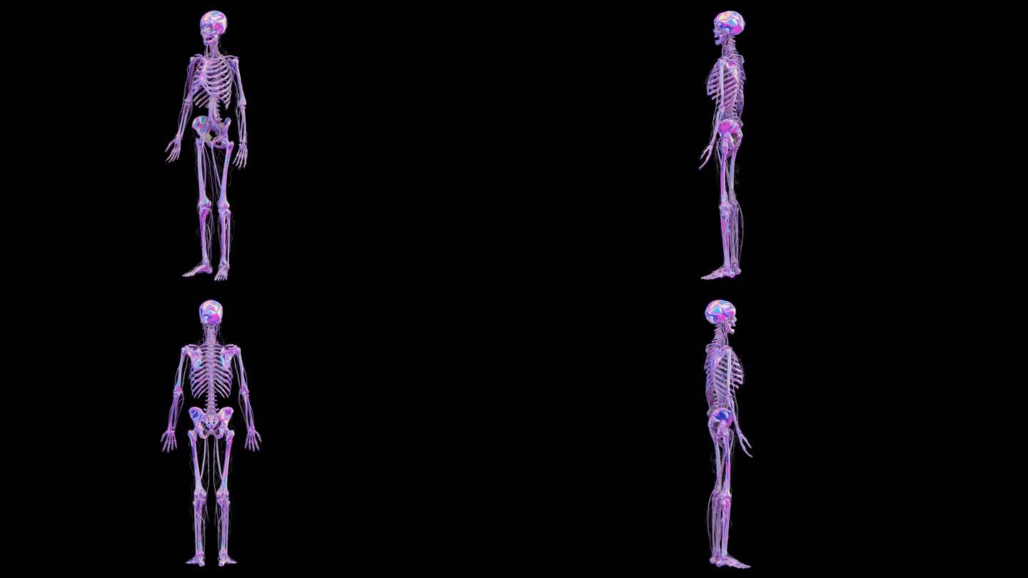赛博朋克元宇宙人体骨骼透明通道素材