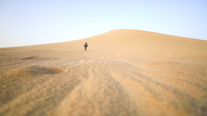西北大沙漠坚守的防沙治沙人