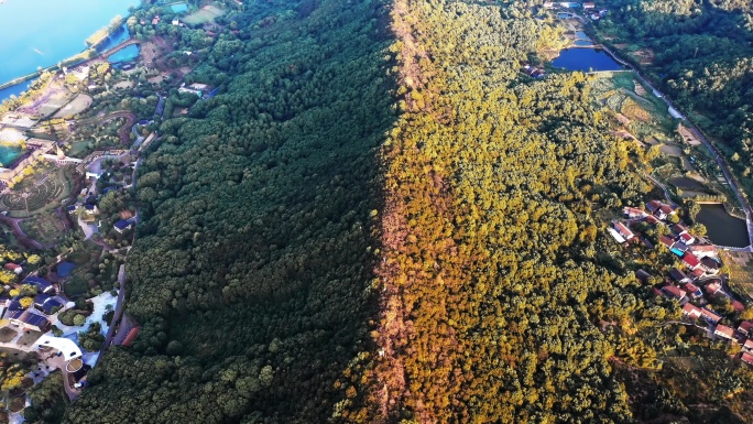 岳阳龙山景区自然风光航拍视频