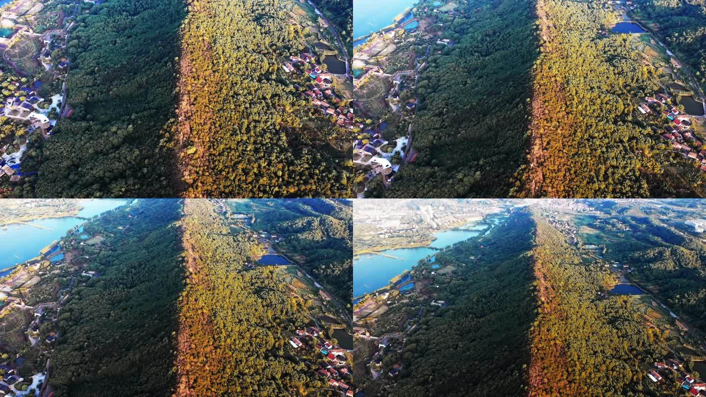 岳阳龙山景区自然风光航拍视频