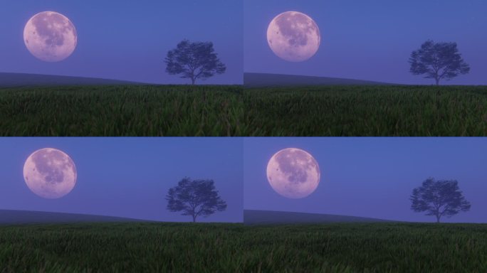 田地上空的月亮超级月亮草原满月