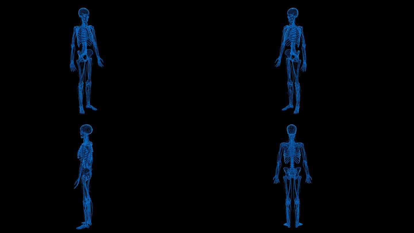 蓝色科技线条人体骨骼透明通道素材