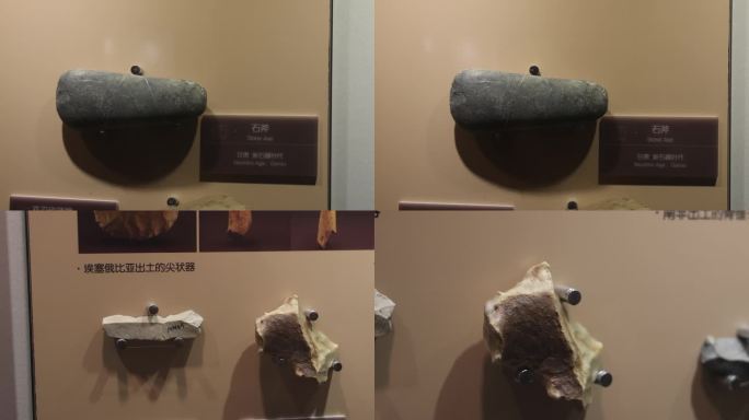 古猿人生活工具 新石器时代 石斧 骨叉
