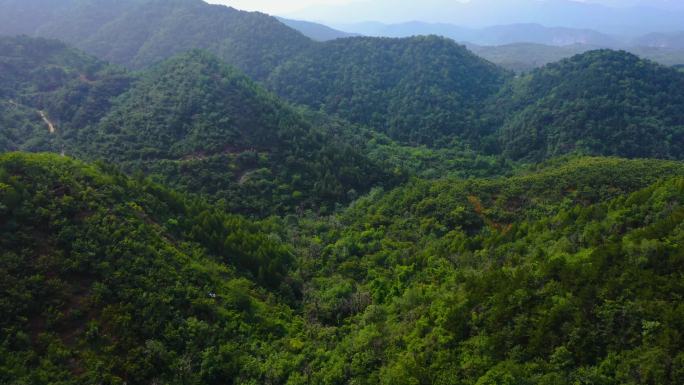 蓟县 山景 风光 塔 亭子 登山 风景区