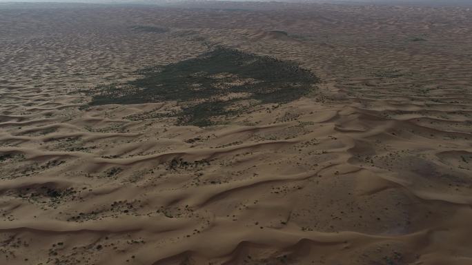 浩瀚的大漠中有绿洲