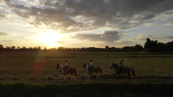 日落时，4K牛仔在草地骑马