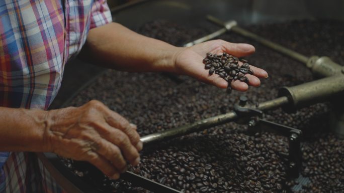 工人检查烘焙机中咖啡豆的质量。