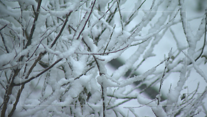 暴雪