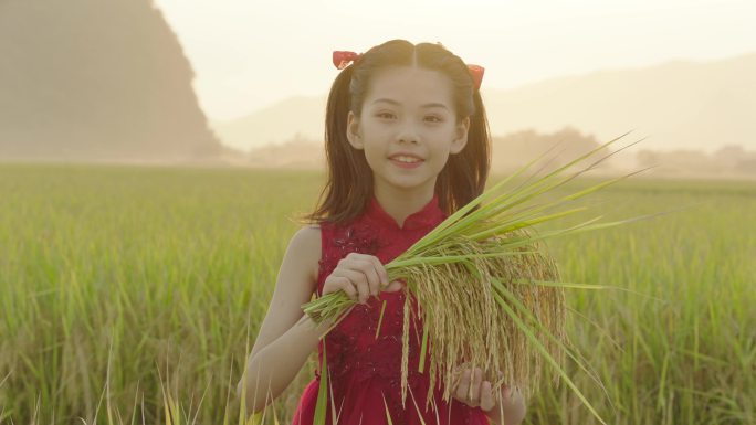 手里拿着稻穗水稻的小女孩3