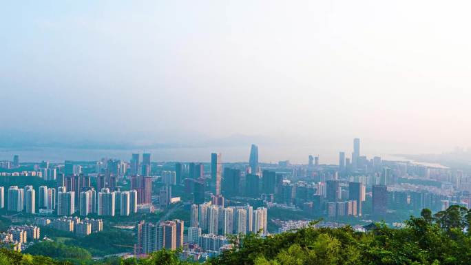 深圳湾南山福田红树林3