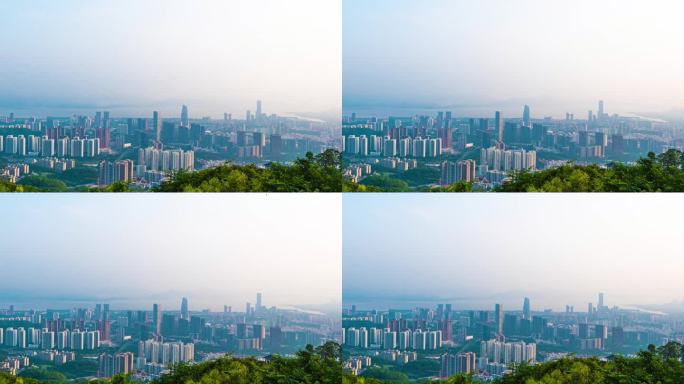 深圳湾南山福田红树林3