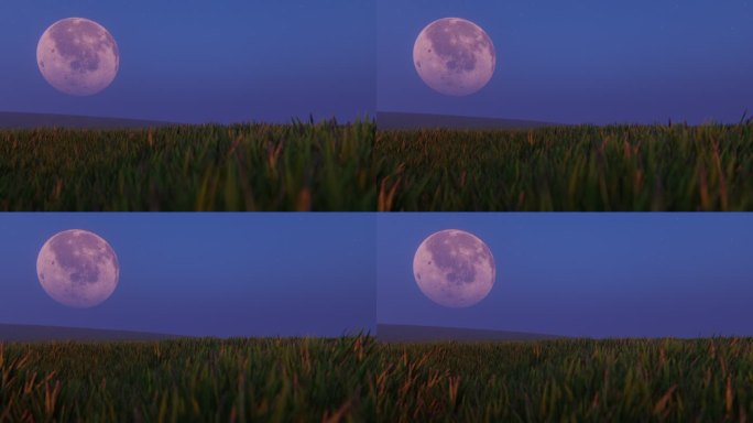 田地上空的月亮草地及月亮