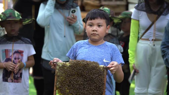 蜜蜂研学参观