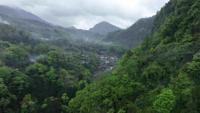 峨眉雪芽基地