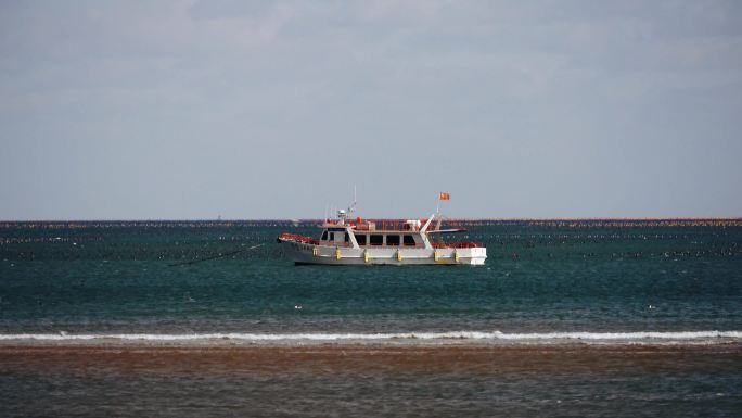 海岸线上的货轮舰艇海鸥