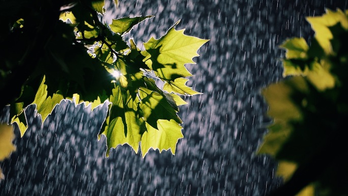 下雨天城市夜景空镜