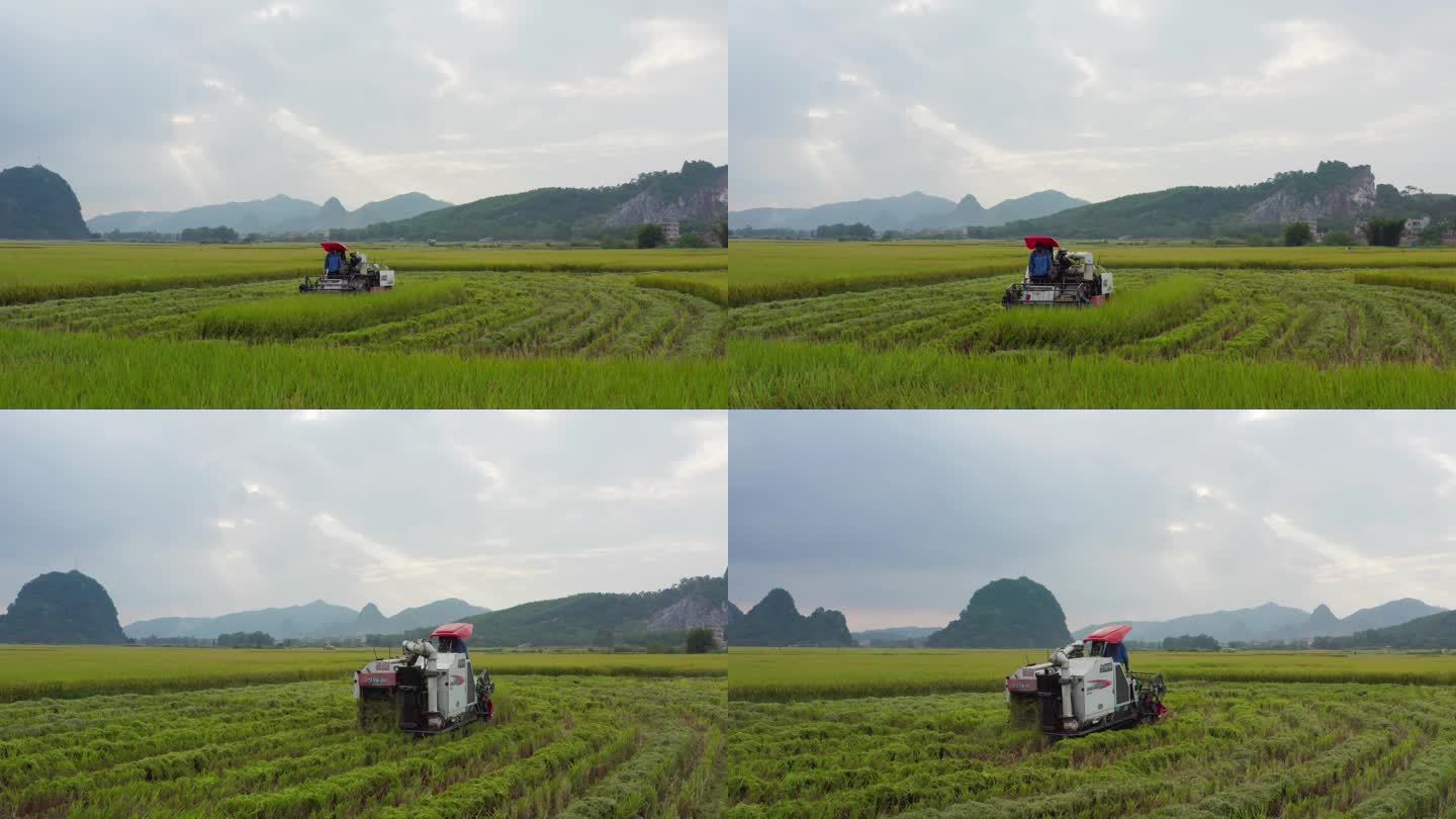 机械化收割稻谷1