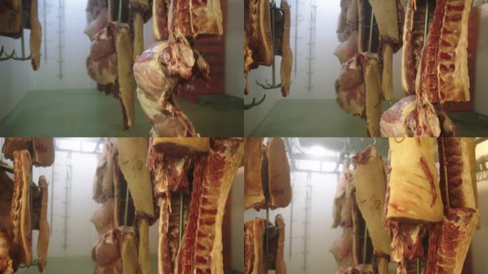 屠宰场的肉尸体冷冻室