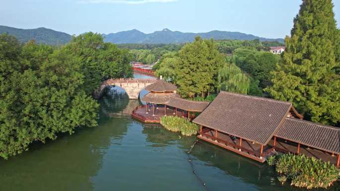 杭州西湖景区 茅家埠黛色参天