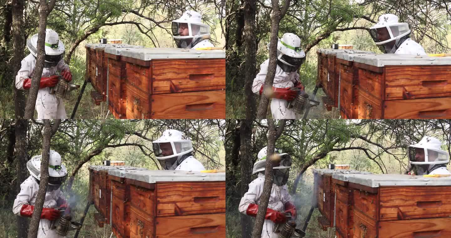 非洲蜂农手持蜂蜜超级棒在阳光下检查。
