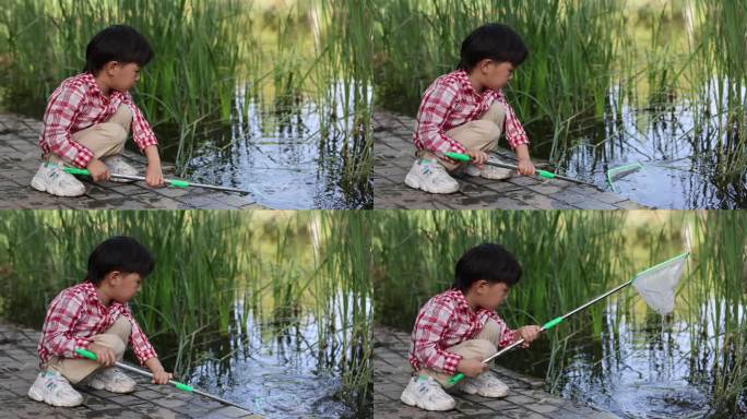 一个小男孩在池塘边玩耍