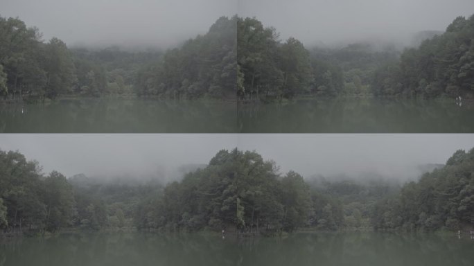 静谧森林湖面